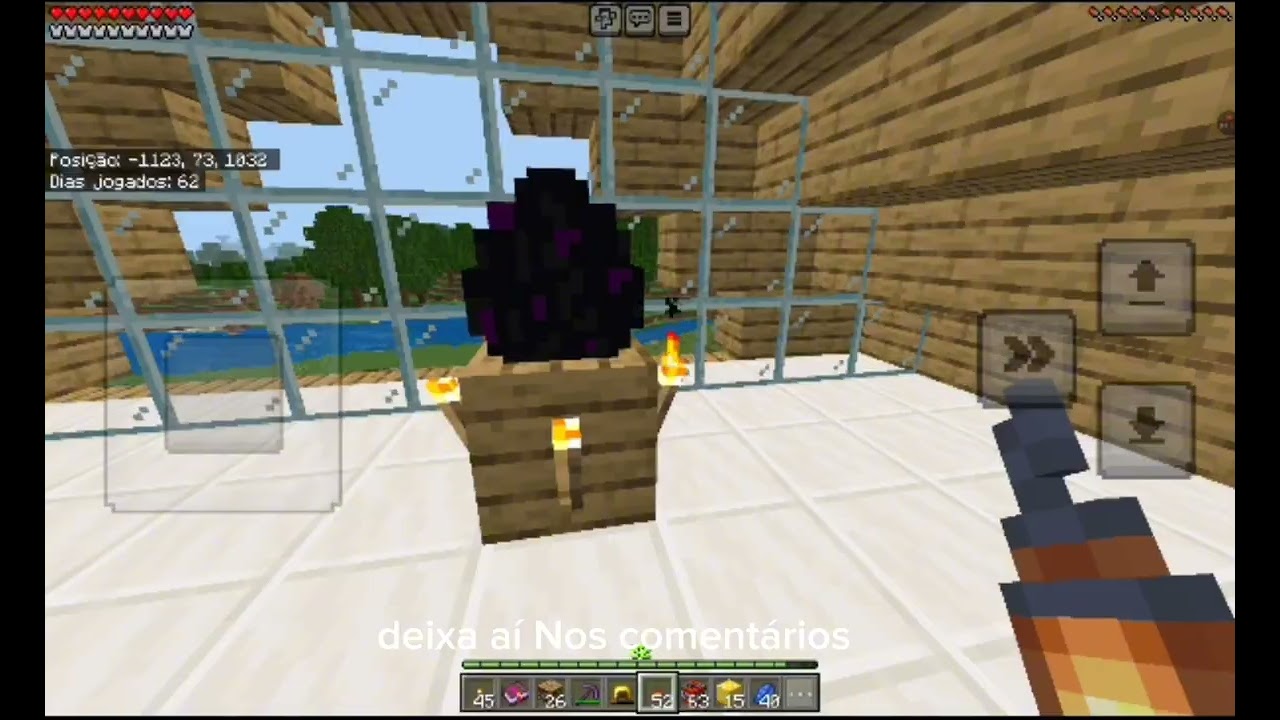 Mostrando o ,eu mundo do minicraft 