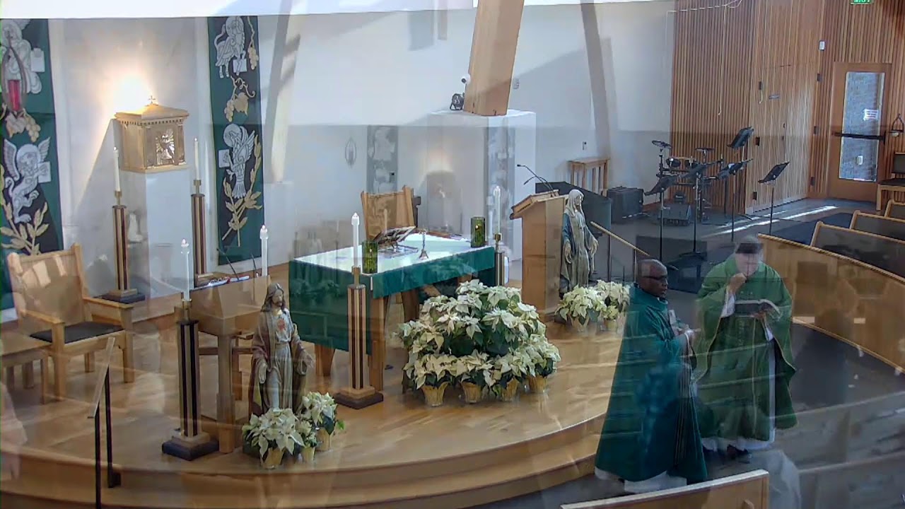 Weekday Mass - English - January 15, 2026