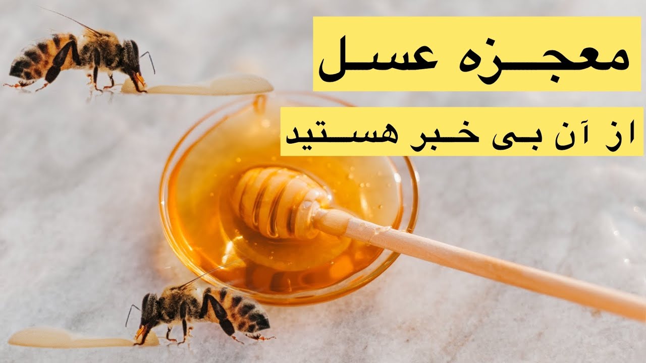 خواص عسل طبیعی برای سلامتی Properties of natural honey for health