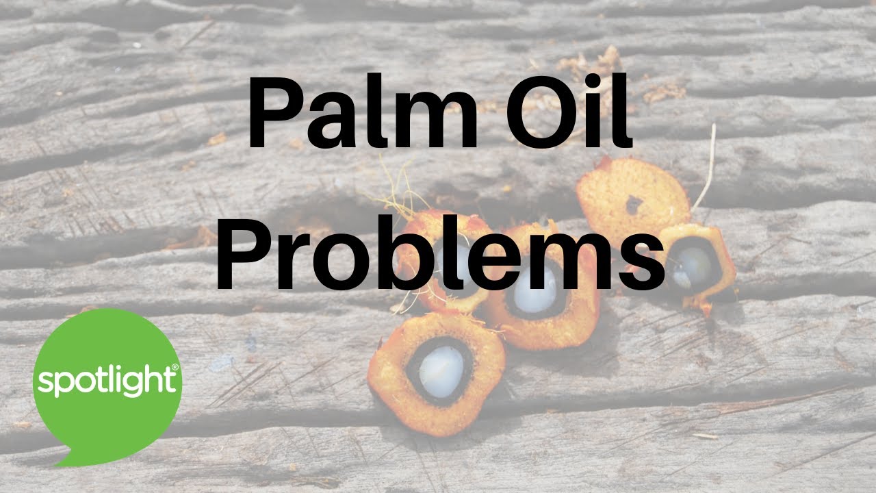 Palm Oil Problems | practice English with Spotlight