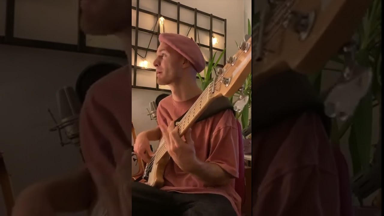 Evelina, Ani - Me ei kuuluta toisillemme (Bass cover) (Sire V7 first gen)
