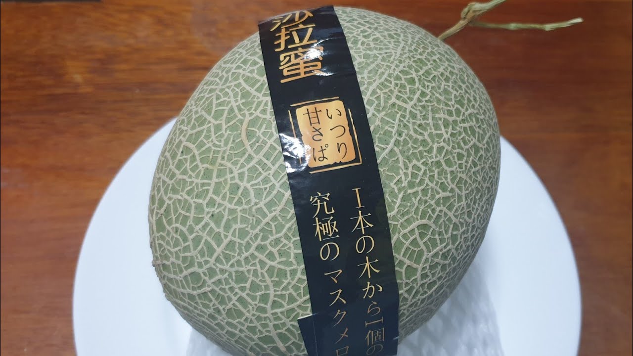 Japanese Musk Melon | Worth the Price?