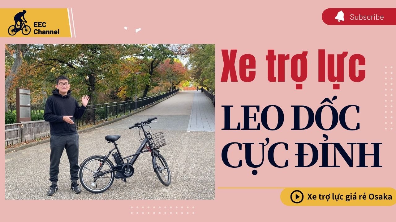 Xe trợ lực leo dốc c&oacute; khỏe kh&ocirc;ng? N&ecirc;n chọn h&atilde;ng xe n&agrave;o Yamaha hay Panasonic?