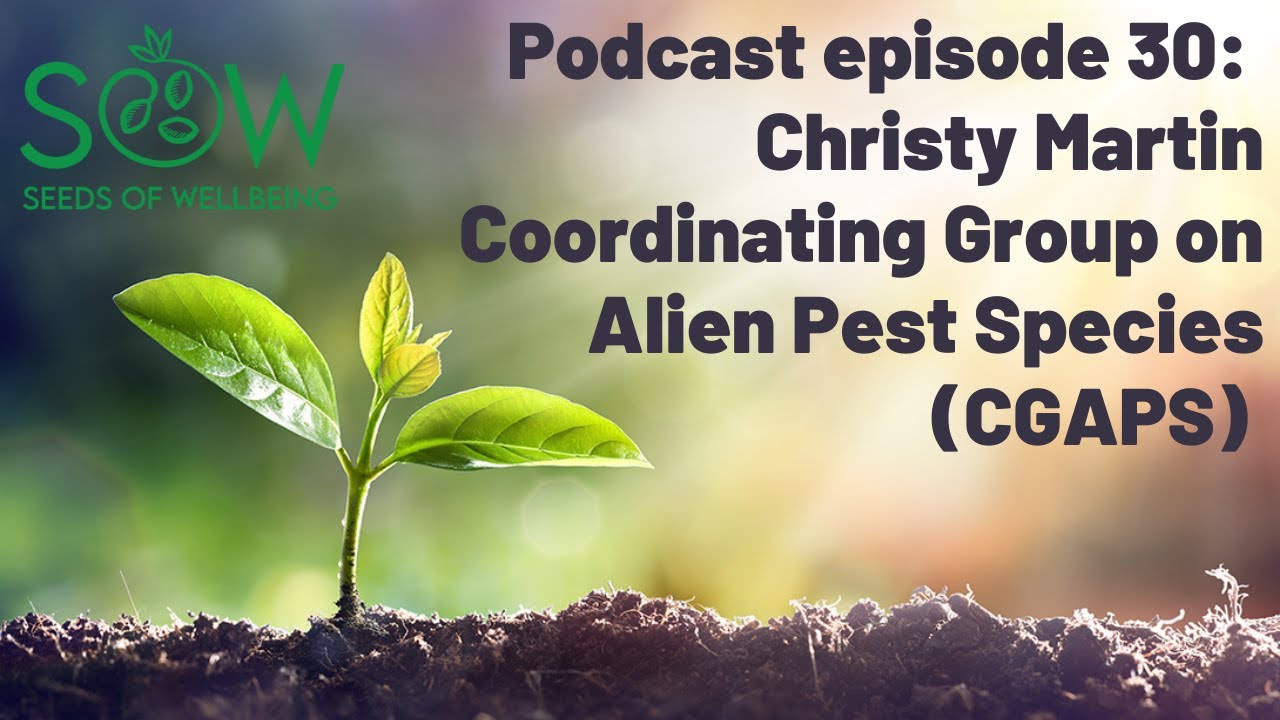 UH CTAHR SOW Podcast 30: Christy Martin - The Coordinating Group on Alien Pest Species (CGAPS)