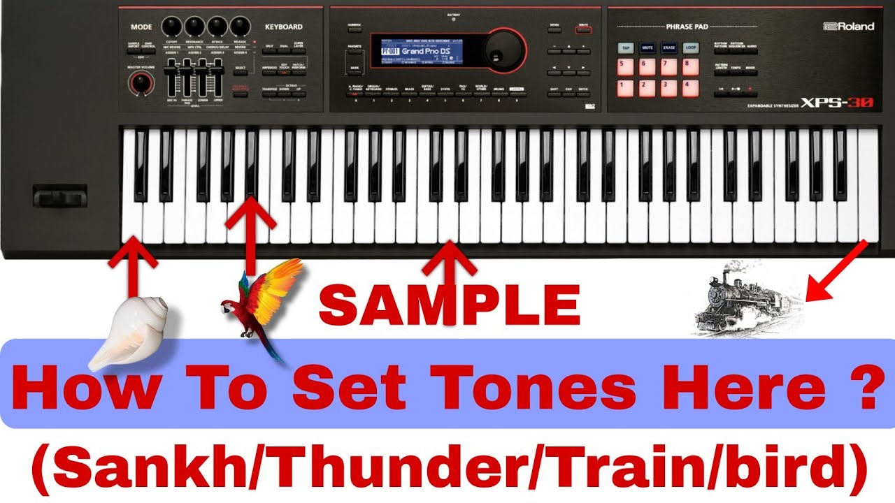 How To Set Special Effects & Sample On Any Keys Xps-30 #xps30 #fairypiano #keyboard #sample #music