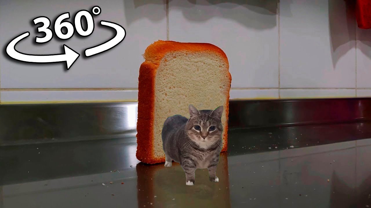 Toast falling over W&W - OIIA OIIA (Spinning Cat) | 360&deg; VR Video