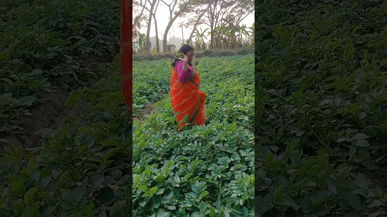 রোজ রোজ কি করি ছাই #like #vews #cooking subcribe please support to me ster center