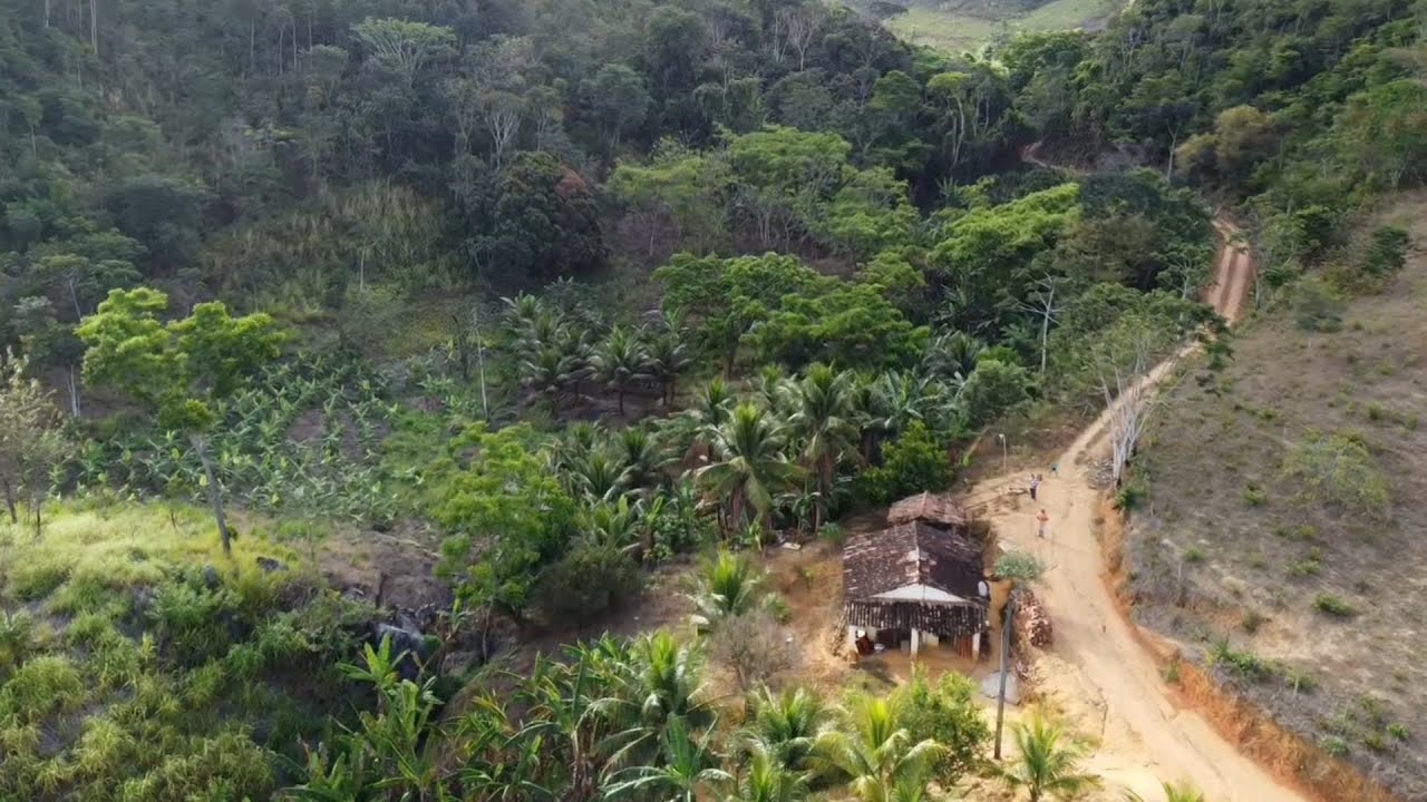 vende se esse sítio no Engenho Mundo Novo zona rural Palmares PE 3 hectares (081)996309085