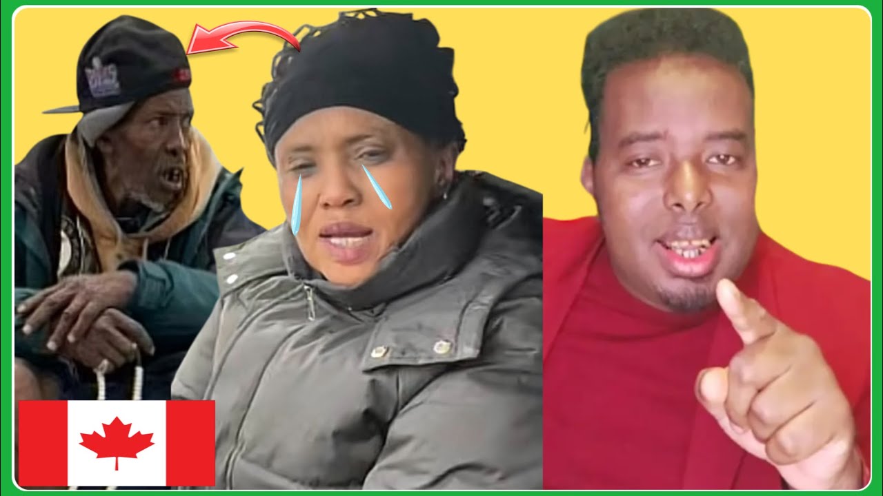 😱MAXKAMADII DAAHIR HODAN STAR ODAYGA CENSER QABA EE HOMELESS DHULBAHANTE HAYGA QABSADO