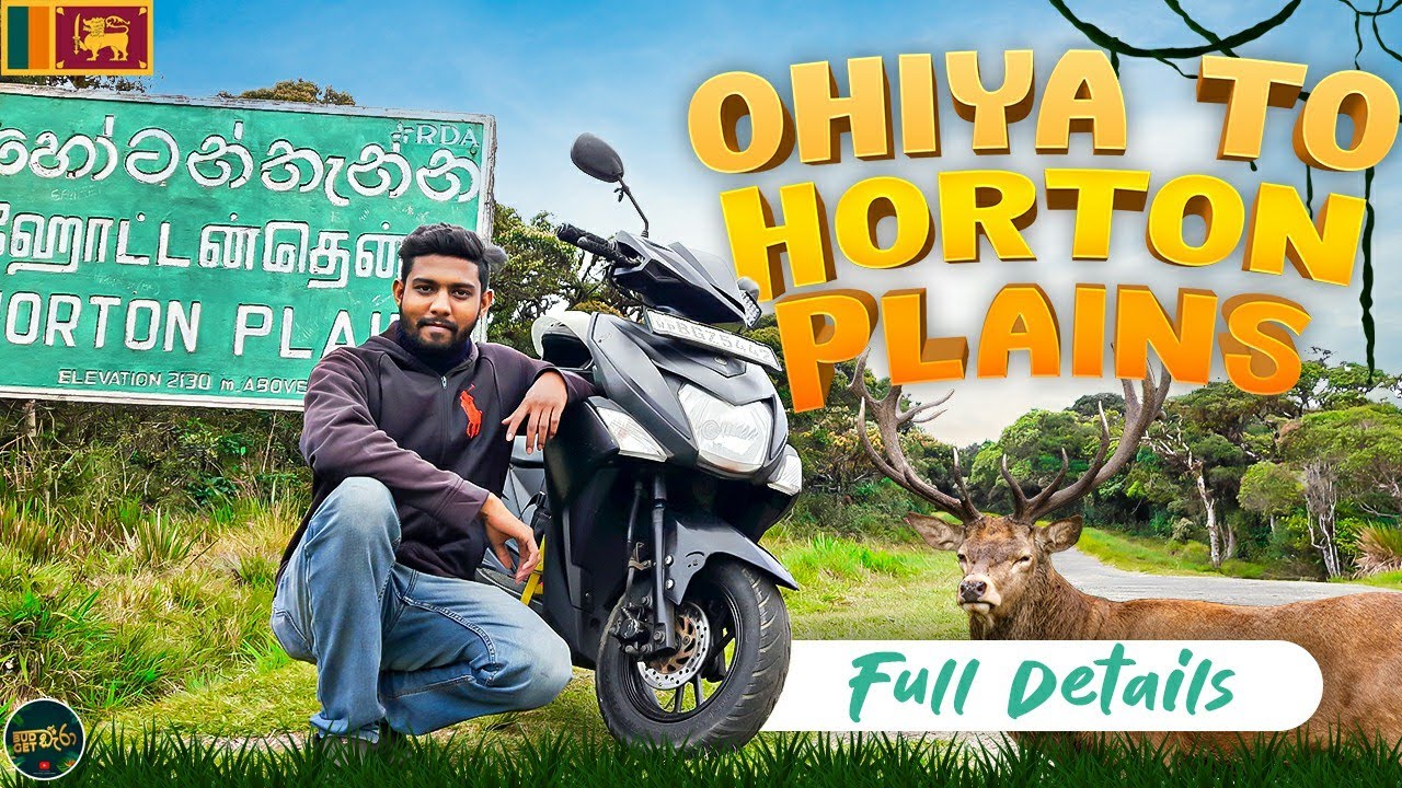 හෝටන්තැන්නට තනියම | solo travel to Horton Plains | Full Guide