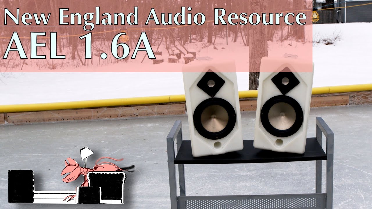NEAR AEL 1.6A: A Maine-Made Outdoor Speaker