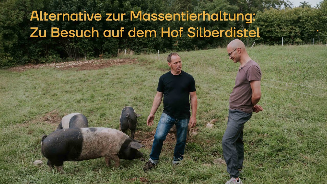Alternative zur Massentierhaltung: Zu Besuch auf dem Hof Silberdistel