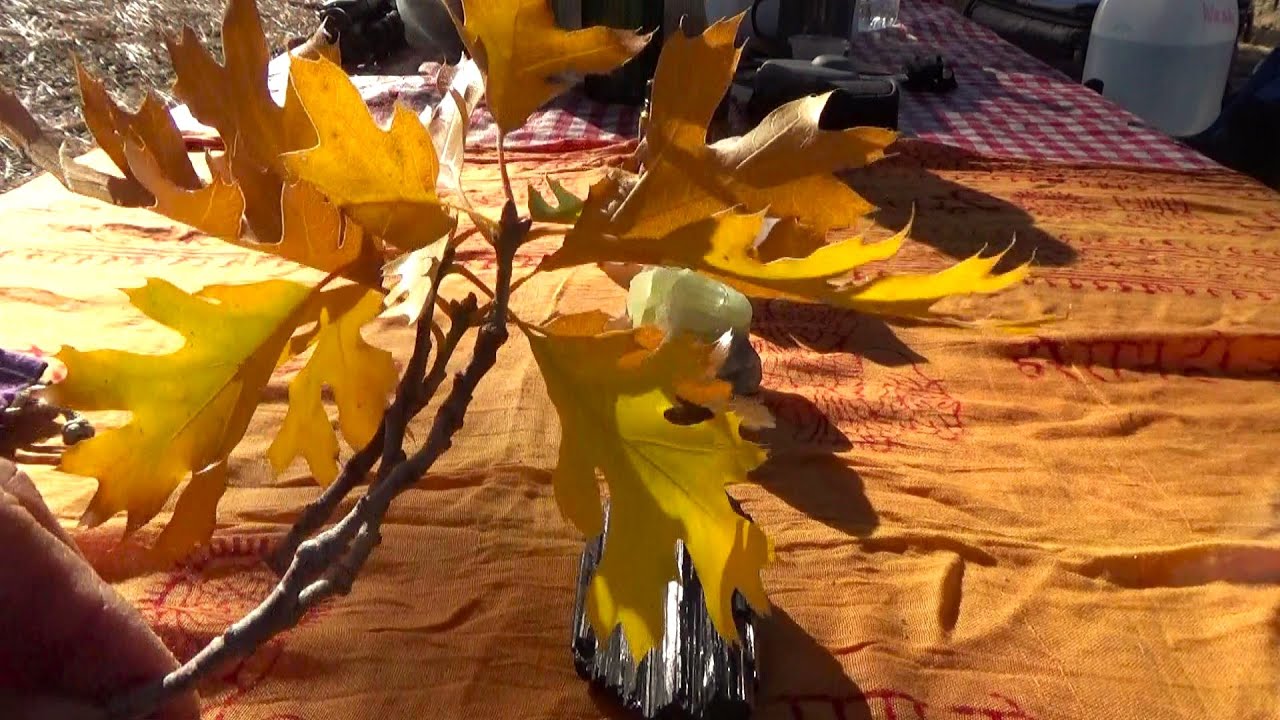 ASMR Forest Crystal Grid and Soft Spoken Chat 🌲