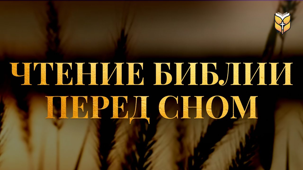 Чтение Библии перед сном. Современный перевод Библии #biblevision
