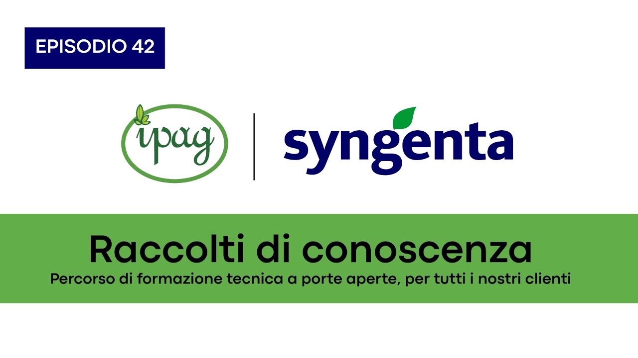 Cereali: le soluzioni a garanzia della resa - Mais: come controllare Popilia | Syngenta | RdC ep.42