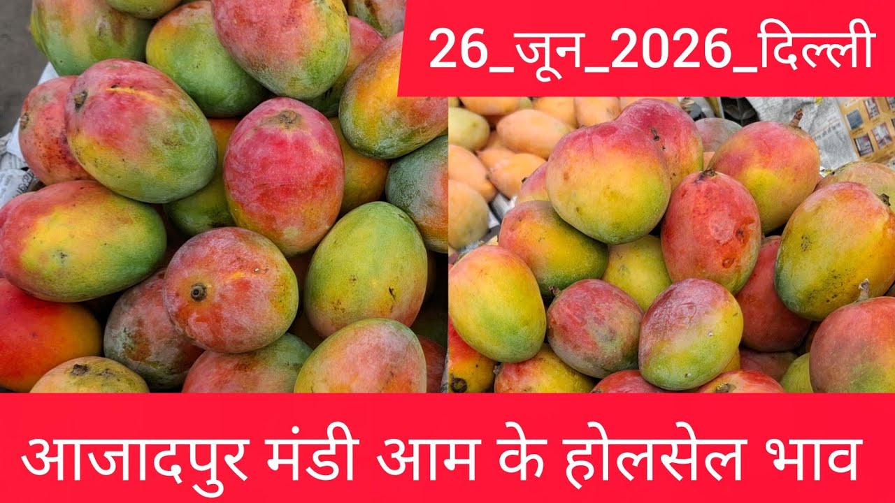 26 June 2026 दिल्ली 🥭 आम का भाव Azadpur Delhi Mandi Today Mango Market Price Aam Ka Aaj Ka Rate