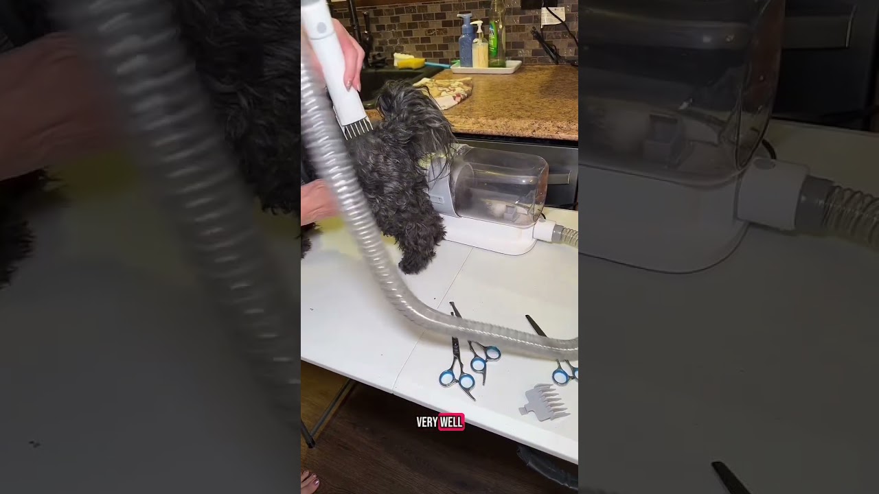 This pet grooming kit with a vacuum is the best invention EVER! It would very well! Clippers,