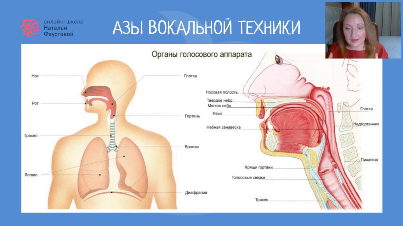 Вокальная техника. Физиология и практика. Преподаватель Наталья Фаустова.