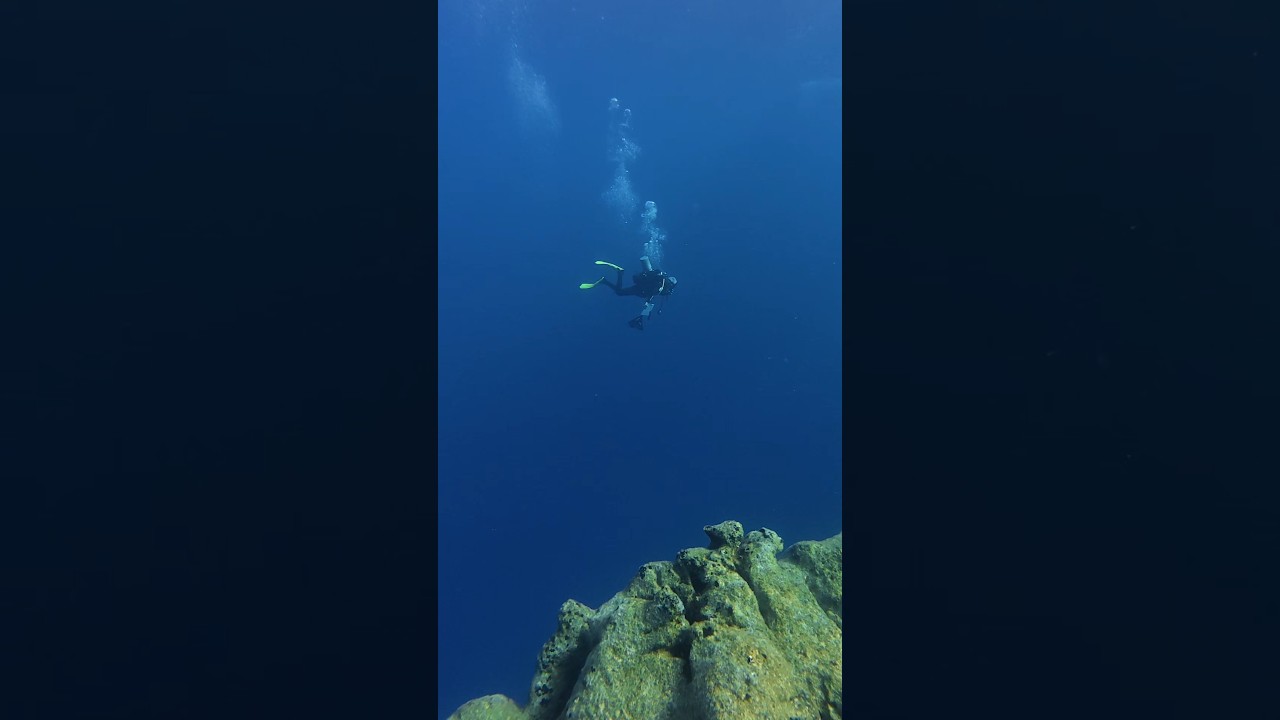 Manifestando más buceos en el Mediterráneo 🤙🏼🫧🤿 