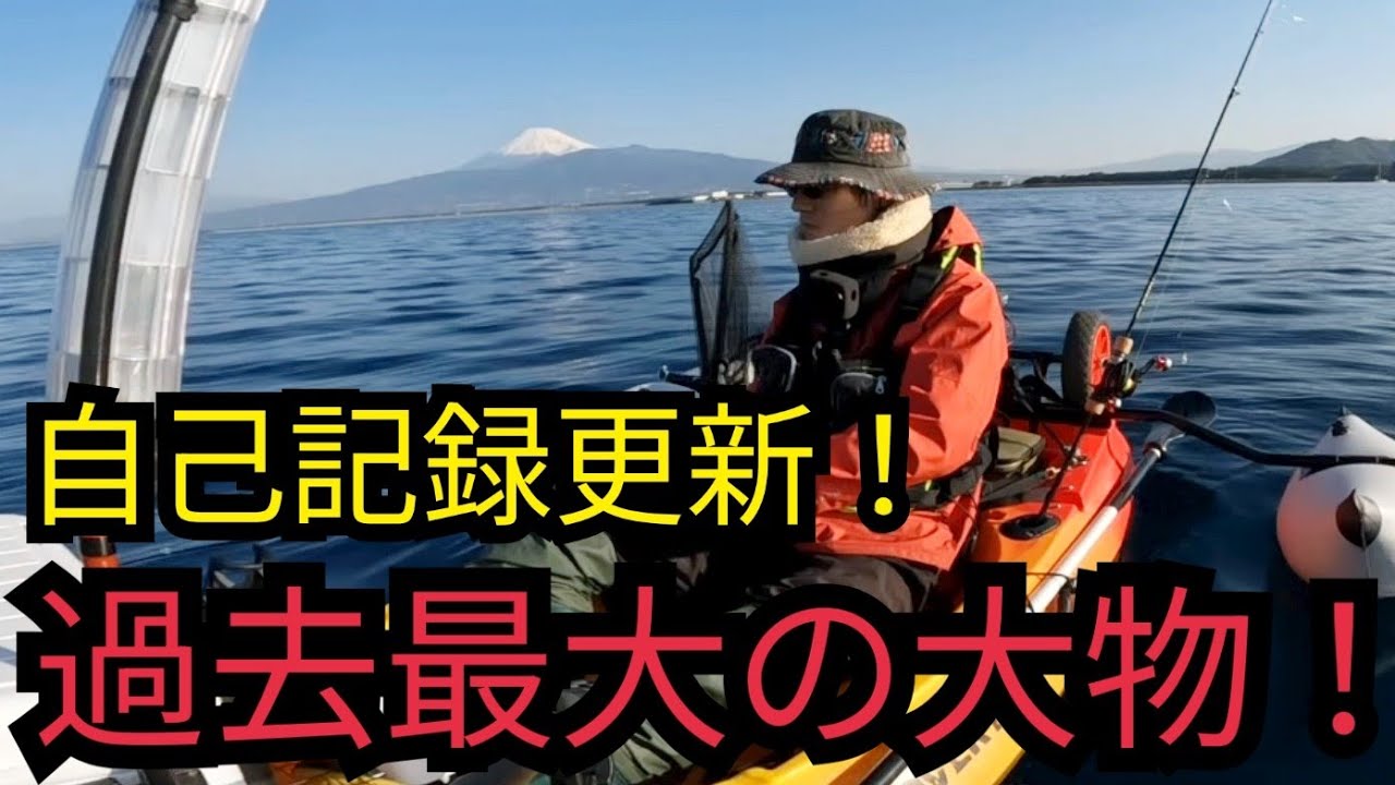 【大物高級魚降臨】静岡海釣り遠征3月下旬 🌸