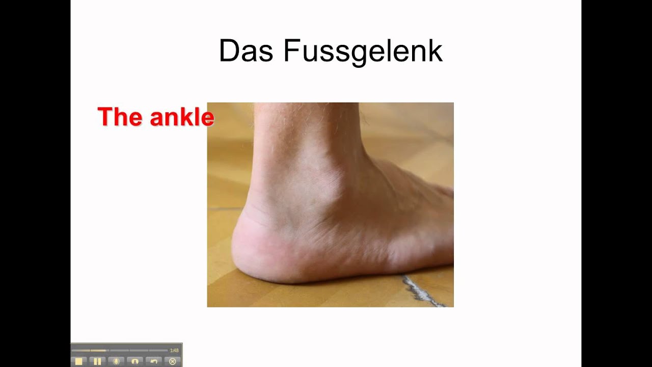 Body Parts Vocabulary - www.germanforspalding.org