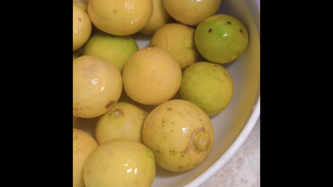 🍋 एक बार ये रेसिपी बना ली तो सालभर की छुट्टी 😍 Nimbu Ki chatpati chatni Recipe Instant Lemon Chutney