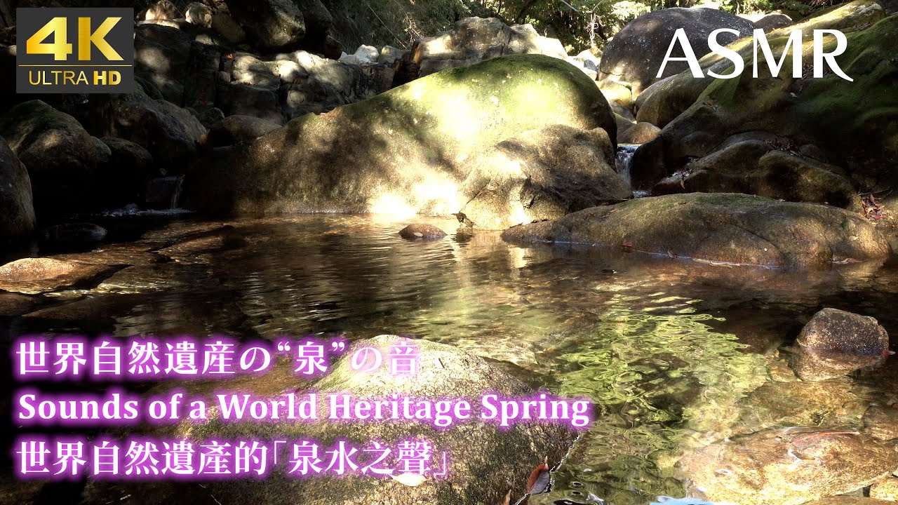 【４K】世界自然遺産で見つけた泉のとろけるような”音”～The “Melting” Sounds of a SpringFound in a World Natural Heritage Site