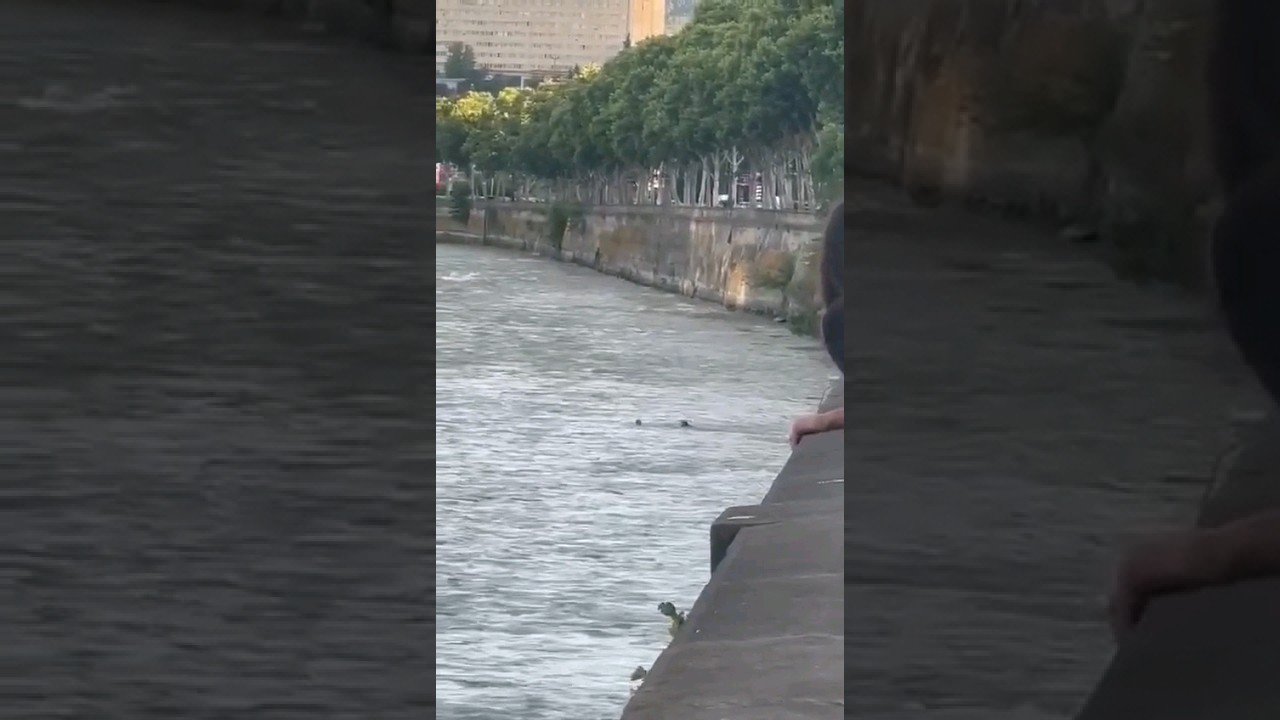 მტკვარიდან ბიჭი გმირმა მოქალაქემ დახრჩობას გადაარჩინა 😱 ©️ლაშაბერულავა 