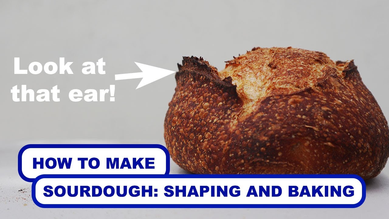 How To Make Sourdough: Shaping, Proofing, and Baking