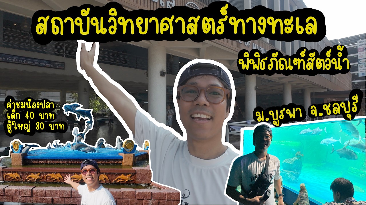 ชมสัตว์โลกใต้น้ำ : พิพิธภัณฑ์สัตว์น้ำ สถาบันวิทยาศาสตร์ทางทะเล ม.บูรพา จ.ชลบุรี