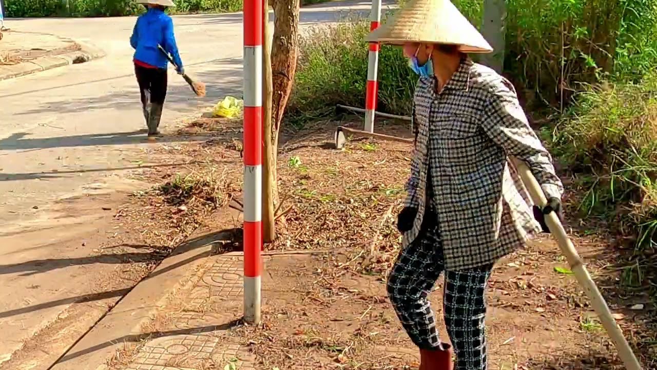 Jaw-Dropping Before and After: Reviving a Neglected Sidewalk Behind the House