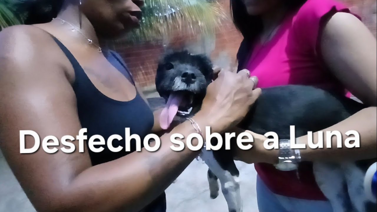 Agora as Cachorras terão mais Liberdade