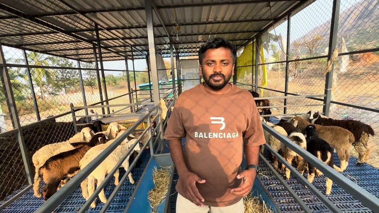 Sheep Market 🐑/ sheep farm #sheepfarming #sheep #farmer #karnataka #karnatakafarmers #kannadanews 