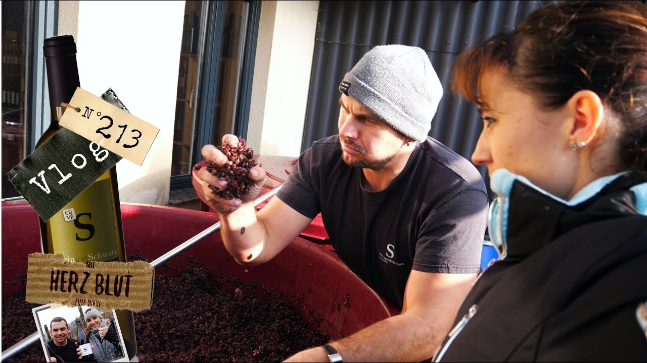Pinot noir pressen und in Barriques pumpen | So wird ein guter Rotwein gemacht #3 | Weinvlog 