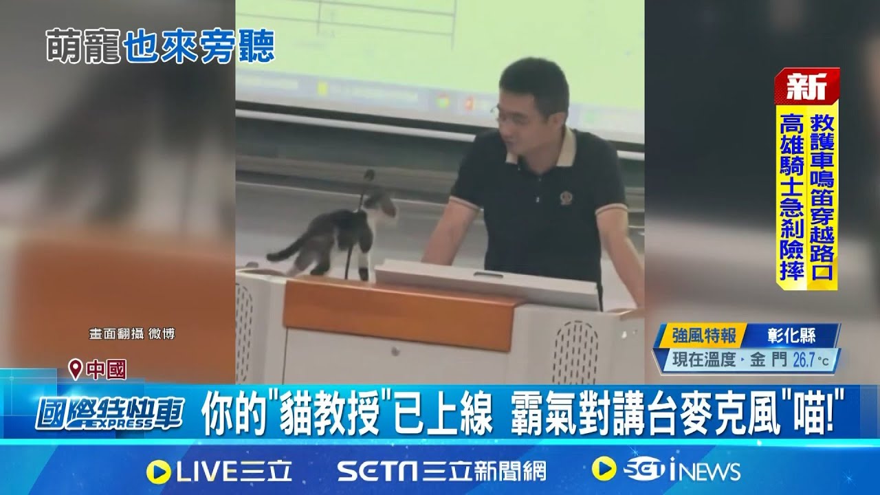 你的"貓教授"已上線 霸氣對講台麥克風"喵!" 貓學長陪聽課 網友讚胖橘"濃濃書卷氣"｜記者 劉玨妤｜國際關鍵字20251029｜三立iNEWS