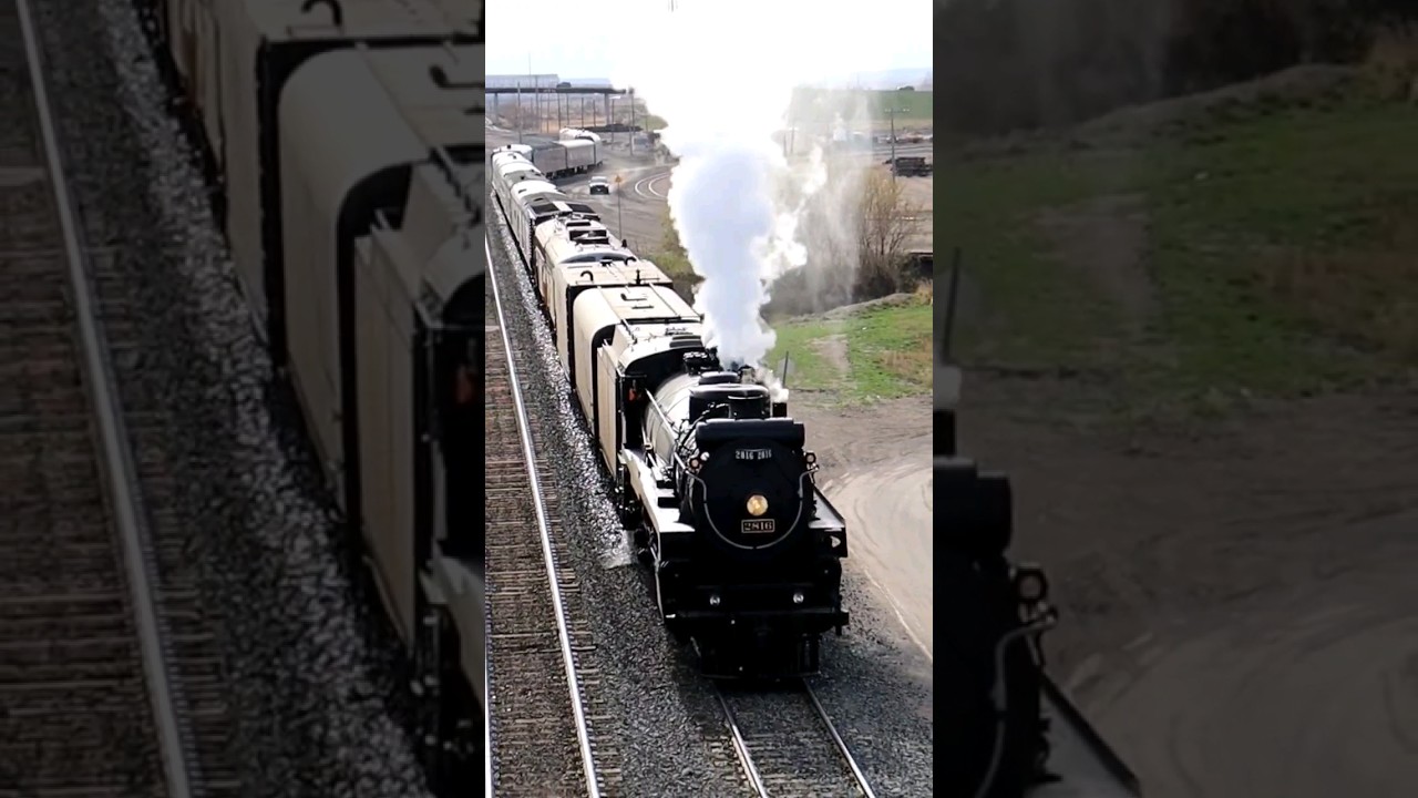 CP 2816's Quill Whistle! 