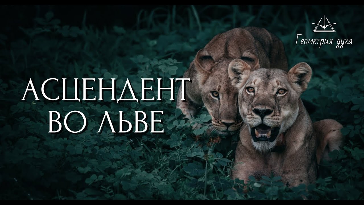 Асцендент во Льве | Роман Аксон | Геометрия духа