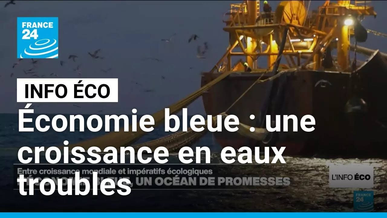 Économie bleue : une croissance en eaux troubles • FRANCE 24
