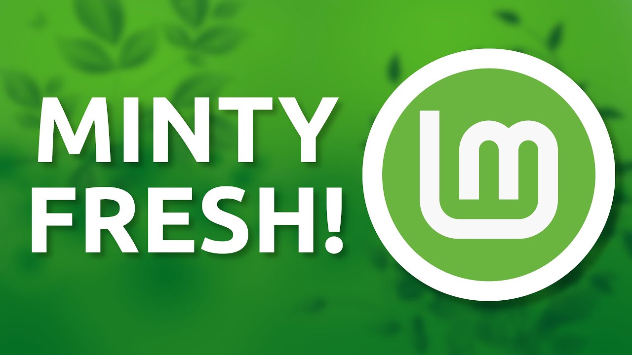 Как использовать Linux Mint — демонстрационная версия для начинающих