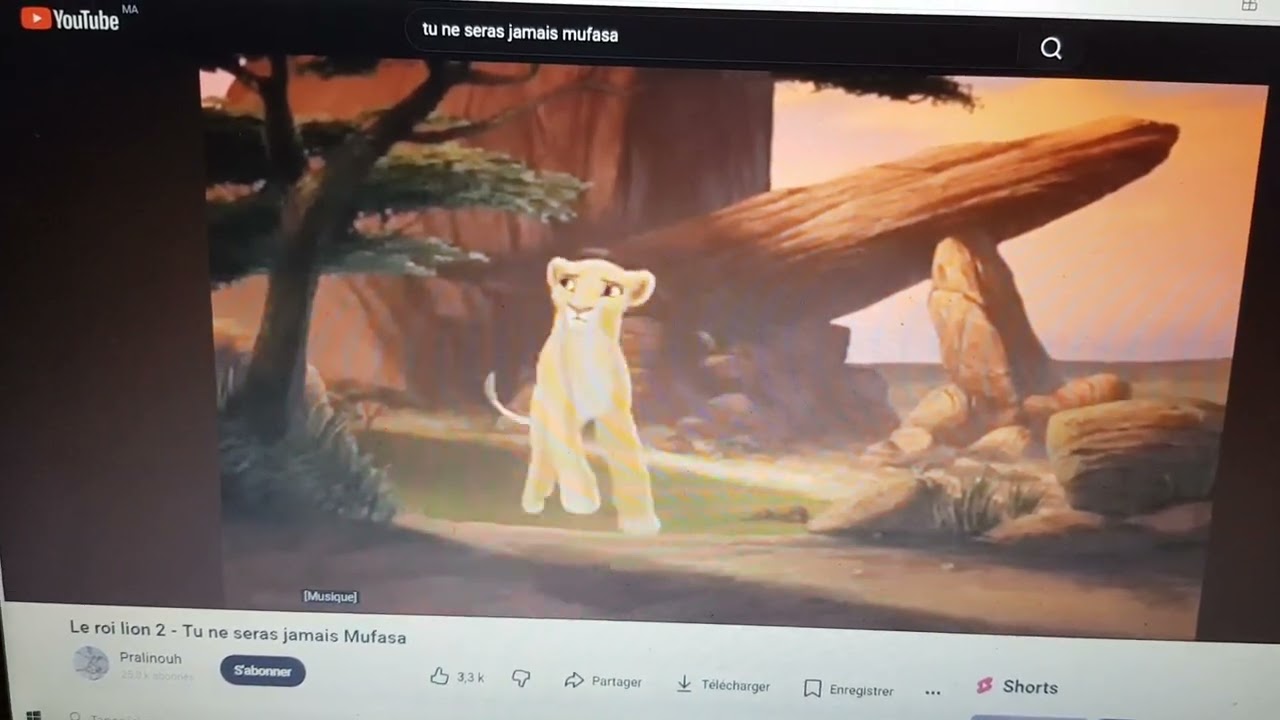 Le roi lion 2 - Tu ne seras jamais Mufasa (Dispute) (Kiara voix par Malak Z) 