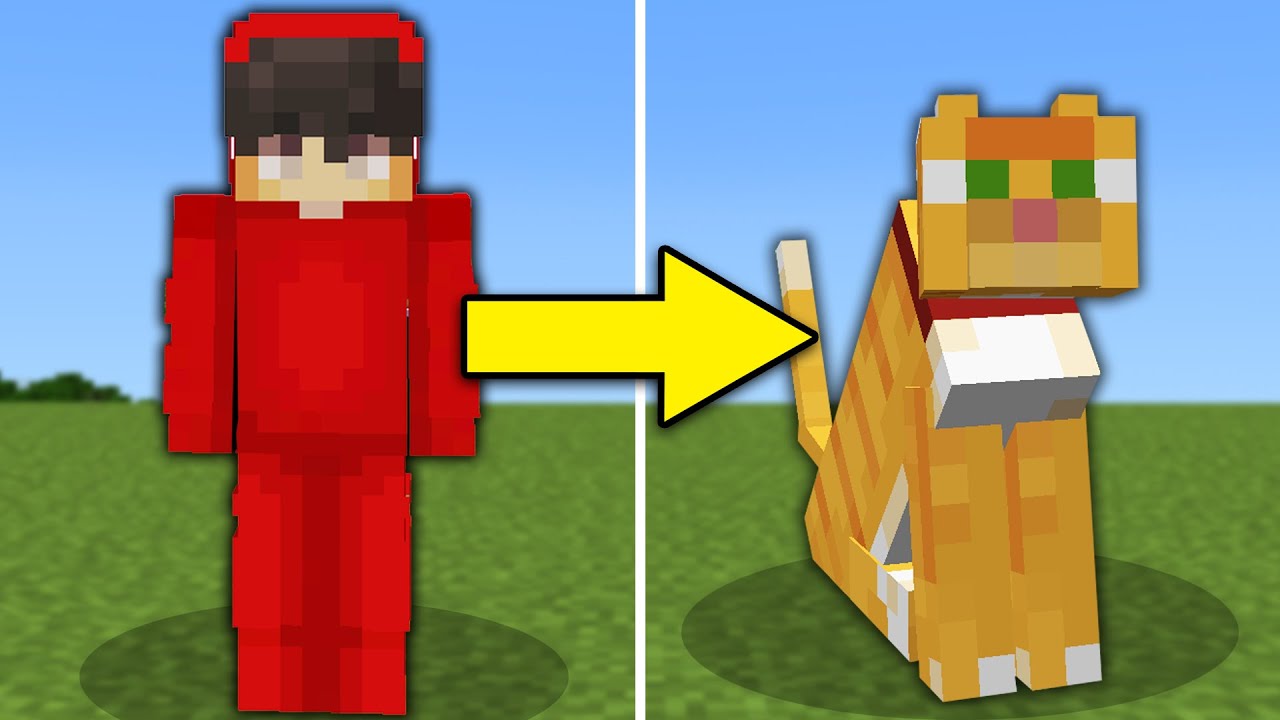 I Pranked My Friend As A Cat in Minecraft!