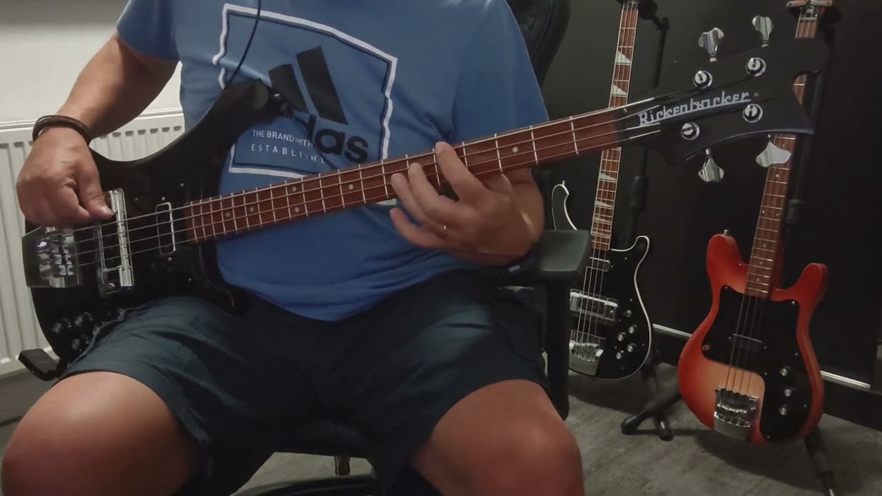 Sex Pistols - God Save The Queen Bass Cover - Glen Matlock Version (Original Bass-Line Removed)