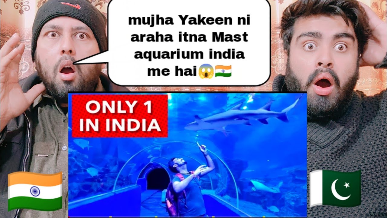 India's Only Underground Aquarium And Sharks | Shocking Reaction By | Pakistani Real Reactions |