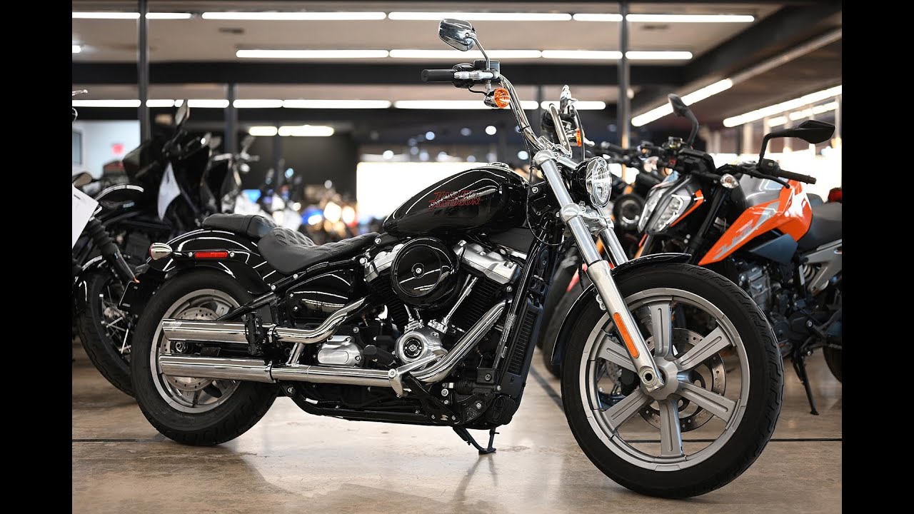 2024 Harley Davidson Softail Standard | ONYX MOTO