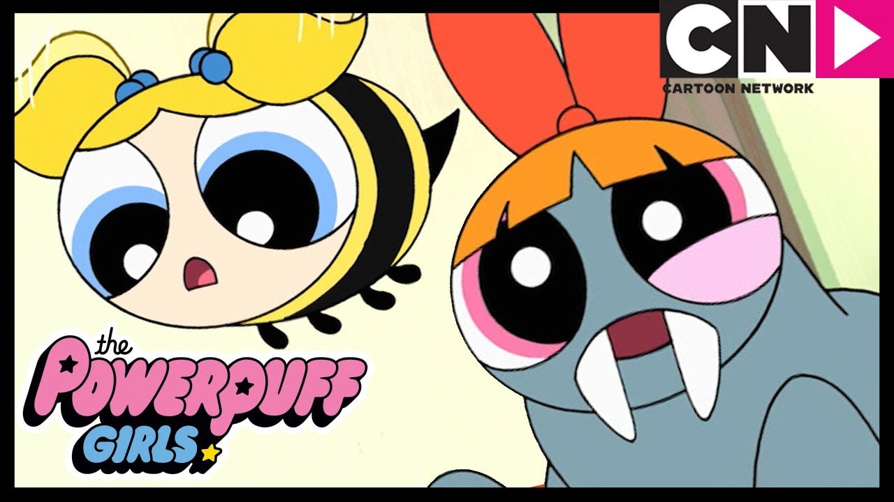 Les Super Nanas | Le concours de science | Cartoon Network