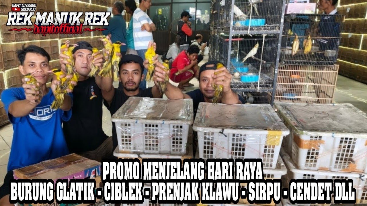 PROMO MENJELANG HARI RAYA !!! BURUNG GLATIK - CIBLEK - PRENJAK KLAWU - SIRPU - CENDET DLL