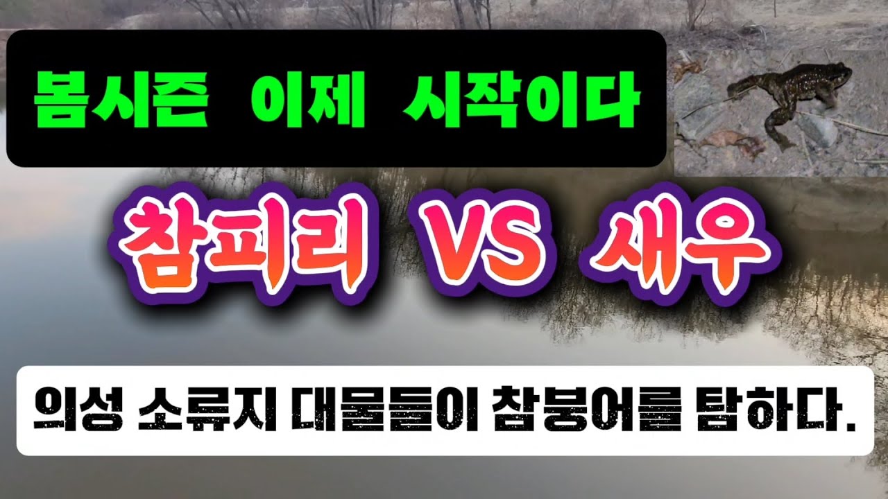 봄시즌ON
