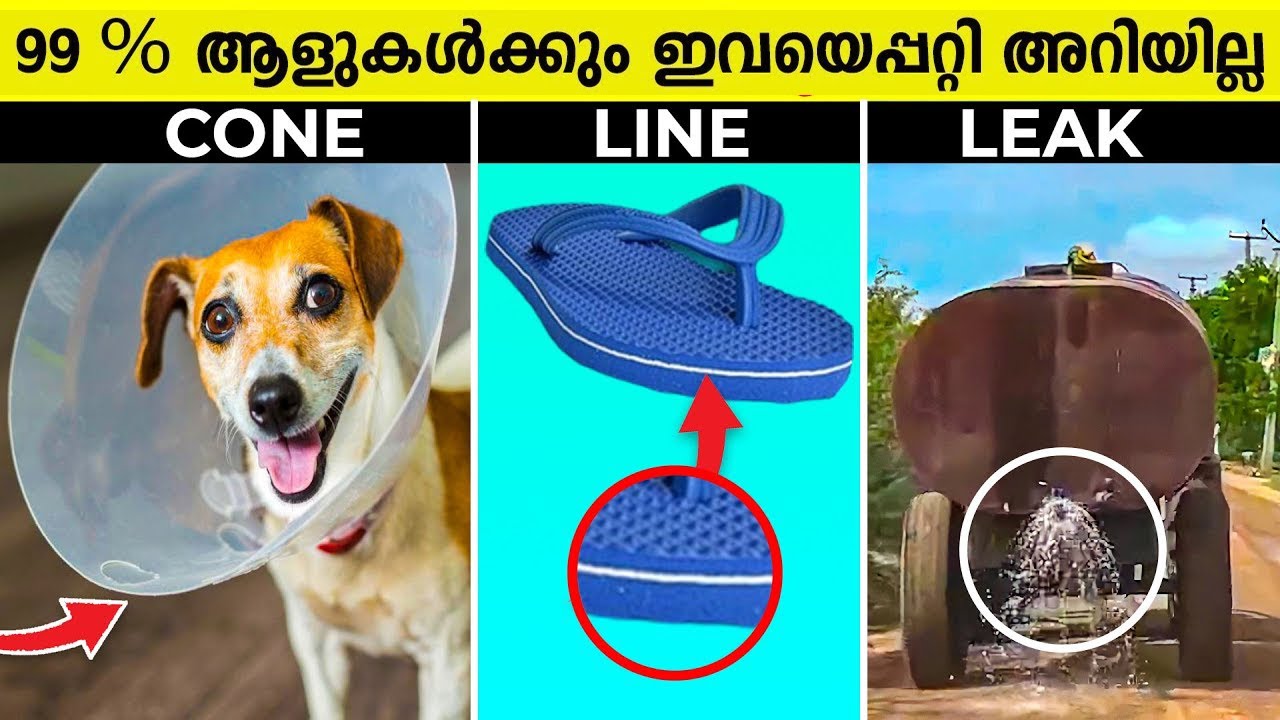 അധികമാർക്കും അറിയാത്ത ചില വസ്തുതകൾ (random facts which everybody don't know)