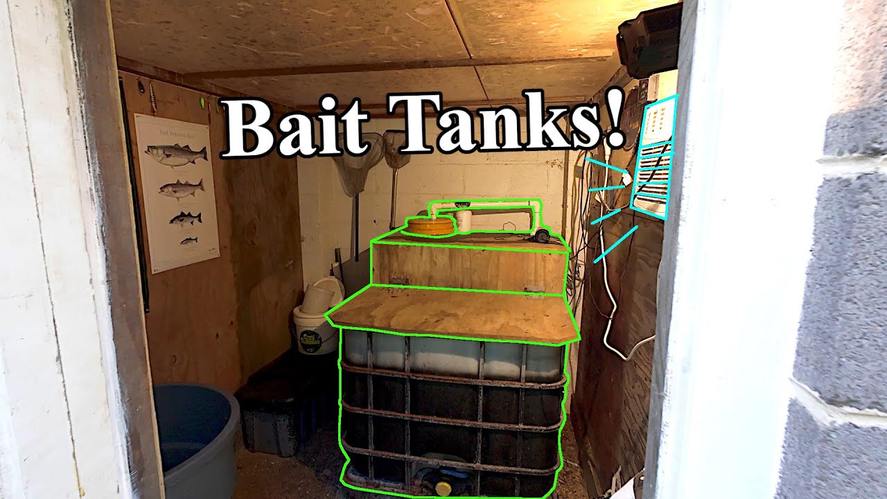 I Found An Awesome Home Bait Tank (and show you mine first)