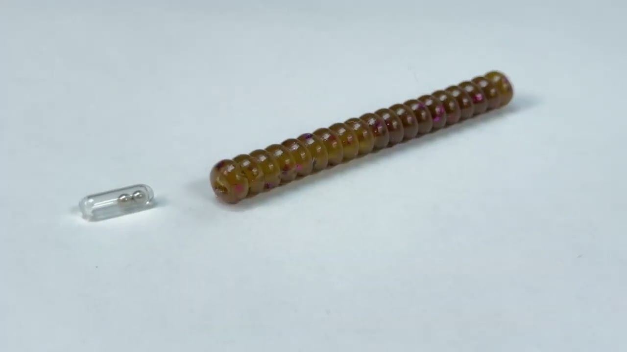 Bambuie Bear Scoochie Worm